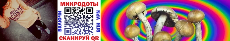 Псилоцибиновые грибы GOLDEN TEACHER  Донской 